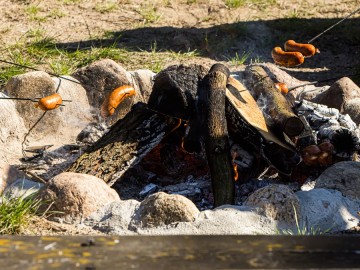 Pilica - Misja Czysta Rzeka 2025, 